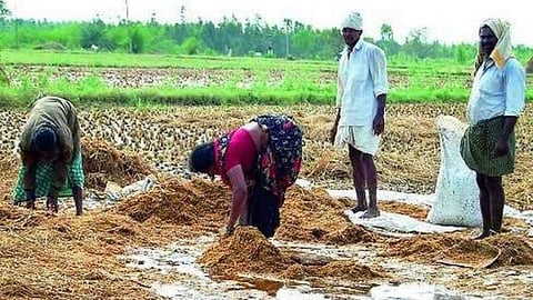 maharashtra government  compensation of farmers