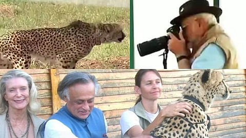 Kuno National Park news update