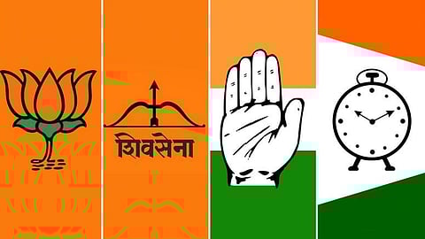 Political Party Flag