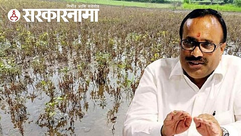 Guardian Minister Atul Save News, Beed