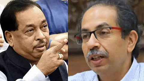 Narayan Rane, Uddhav Thackeray Latest News