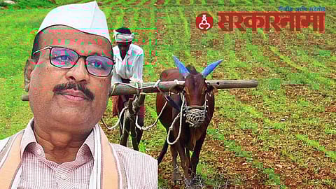 Minister Abdul Sattar News, Maharashtra