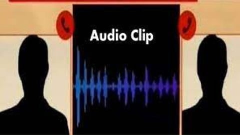 Audio clip
