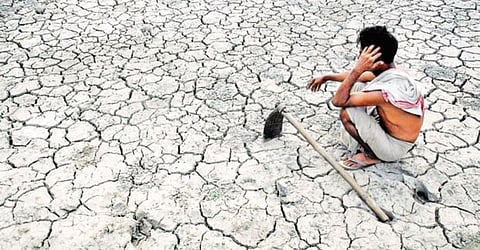 Sillod Farmers news :