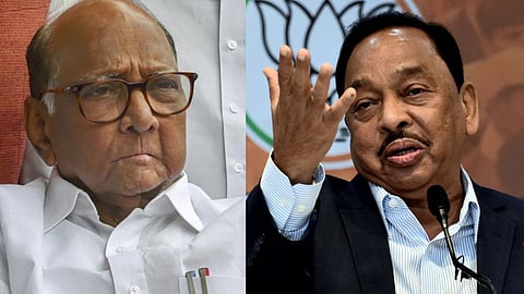 Narayan Rane on Sharad Pawar News