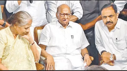 NCP New President news update