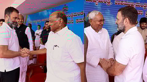 Rahul Gandhi, Sharad Pawar, Nitish Kumar News