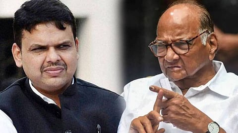 Sharad Pawar on Devendra Fadanvis: