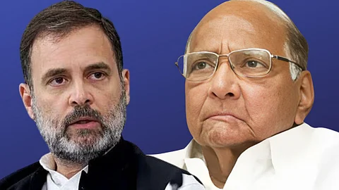 Rahul Gandhi, Sharad Pawar