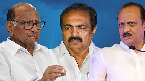 NCP MLA Meet Sharad Pawar