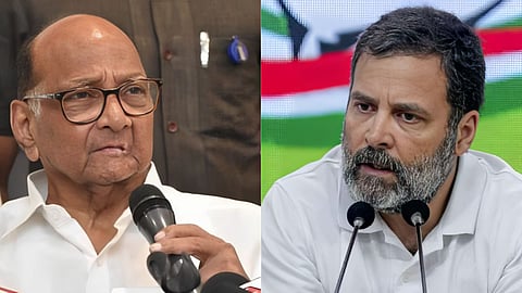 Rahul Gandhi and Sharad Pawar