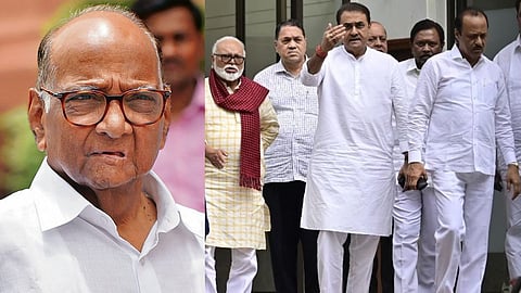 Sharad Pawar News
