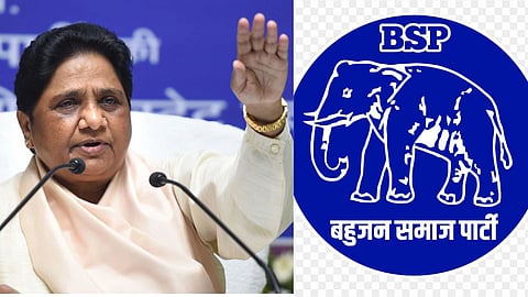 BSP