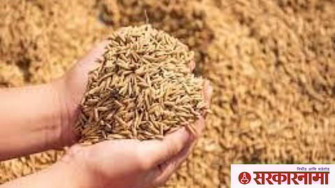 Dhan Scams at Gondia and Bhandara