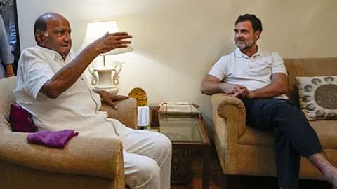 Sharad Pawar - Rahul Gandhi