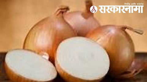 Onion