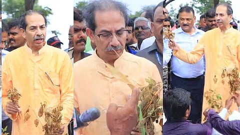 Uddhav Thackeray In Shirdi