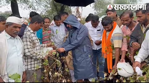MP Prataprao Jadhav at Buldhana.