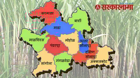 Sugarcane In Solapur