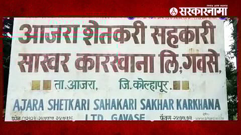 Ajara Sugar Factory News