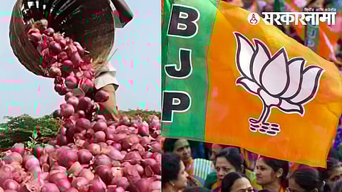 Onion Export Ban and Politics