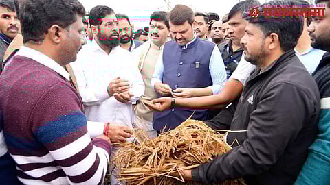 CM Shinde - Fadanvis