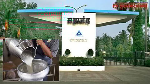 Maharashtra Milk Production