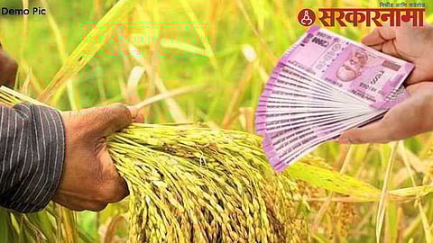 Bhandara Paddy News : शासनाकडून भंडारा गोंदिया जिल्ह्यातील धान उत्पादक शेतकऱ्यांची आर्थिक कोंडी !