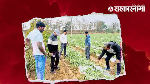 Bhandra District Crop