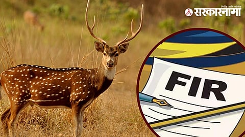 Deer Hunting in Gadchiroli