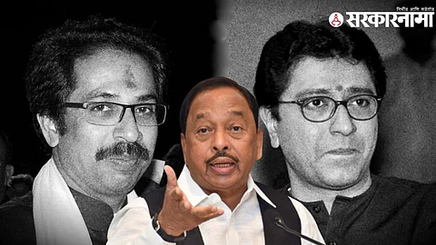 uddhav thackeray raj thackeray narayan rane