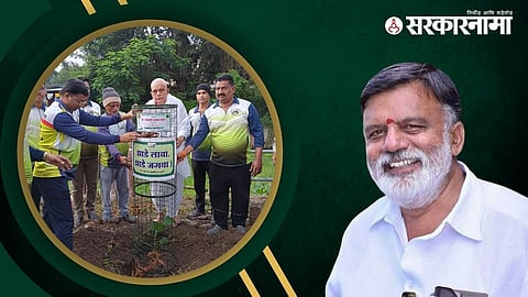 Rajabhau Waje Plantation