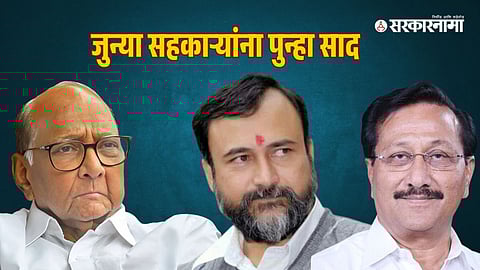 Sharad Pawar-Sanjivraje Naik Nimbalkar-Vijayshinh Mohite Patil