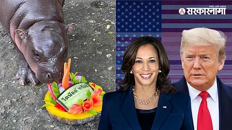 Kamala Harris, Donald Trump
