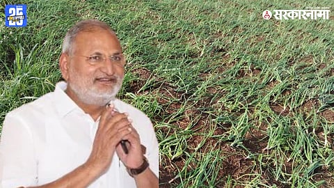 Manikrao Kokate