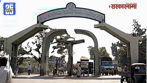 Solapur APMC Election 2025