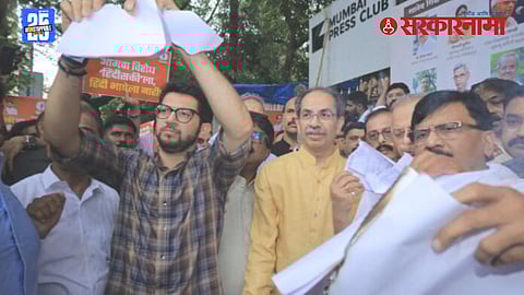 BJP Mahayuti Hindi policy