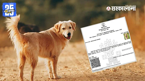 Patna district administration cancels resident certificate mistakenly issued under the name 'Dog Babu', sparking administrative embarrassment and public reactions.