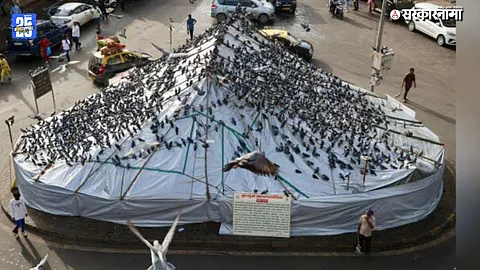 Jain Community Protest Dadar Kabutarkhana BMC Pigeon Ban: