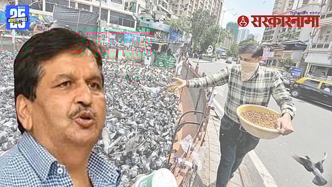 Kabutarkhana Issue Mumbai