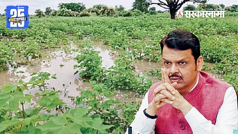 "Fadnavis government announces financial aid to farmers affected by heavy rainfall in Maharashtra, to be credited within 8–10 days."