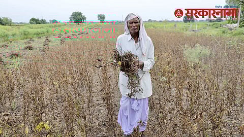 Crop Loss_Maharashtra Floods