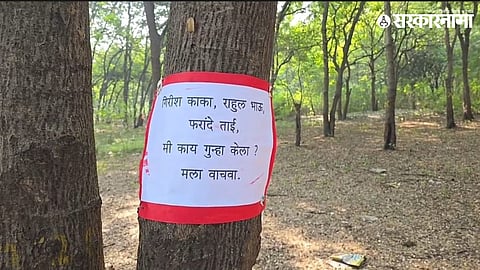 Kumbh Mela tree controversy