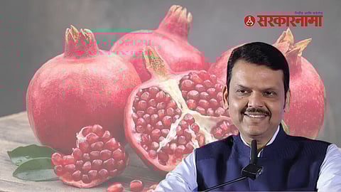 Farmer invites CM Devendra Fadnavis