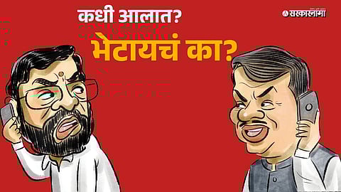 Local Body Elections News update: