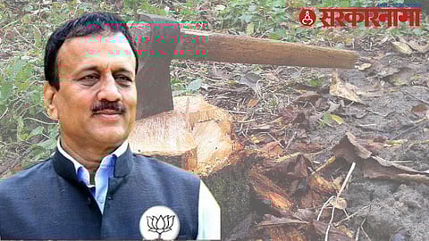 Girish Mahajan Tapovan Tree Cutting