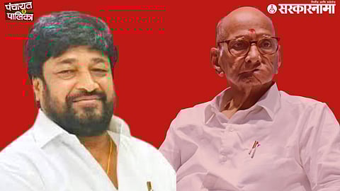 Sharad Pawar NCP Politics