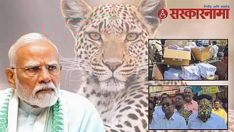 Leopard attack Maharashtra