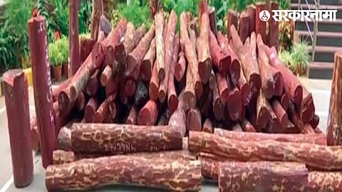 Nashik wood smuggling