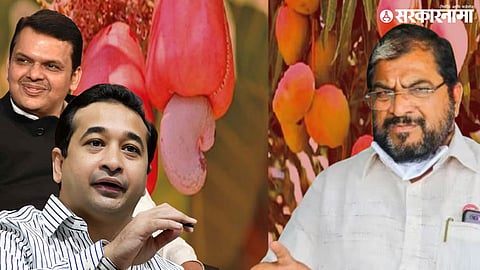 kokan mango cashew farmers compensation; devendra fadnavis, nitesh rane and raju shetti